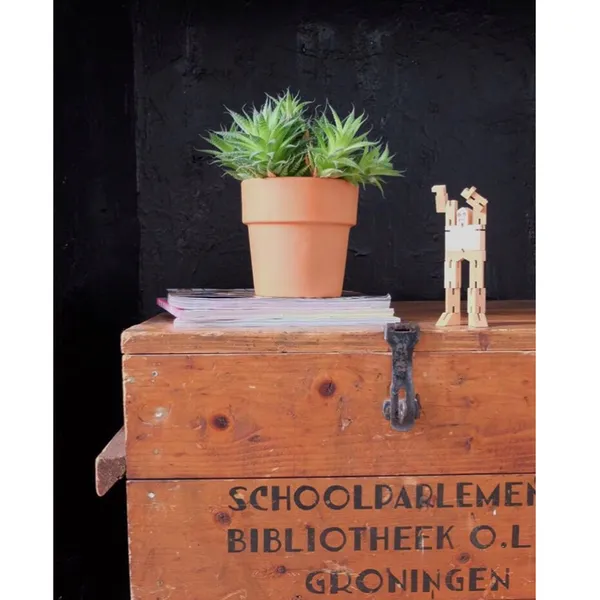 Image 10