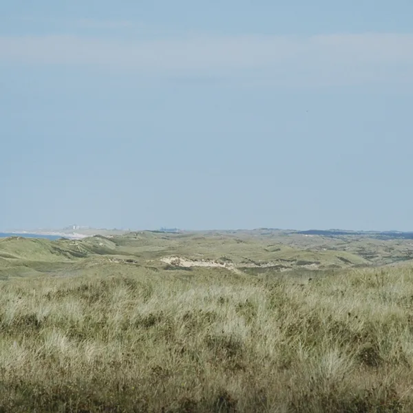 Image 16