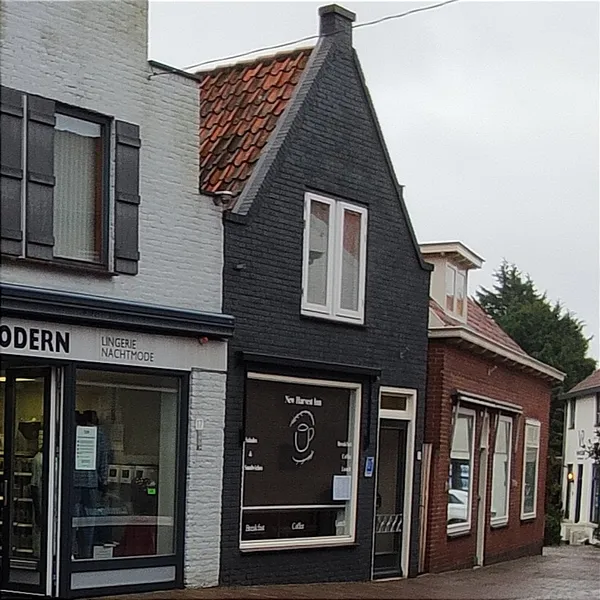Image 8