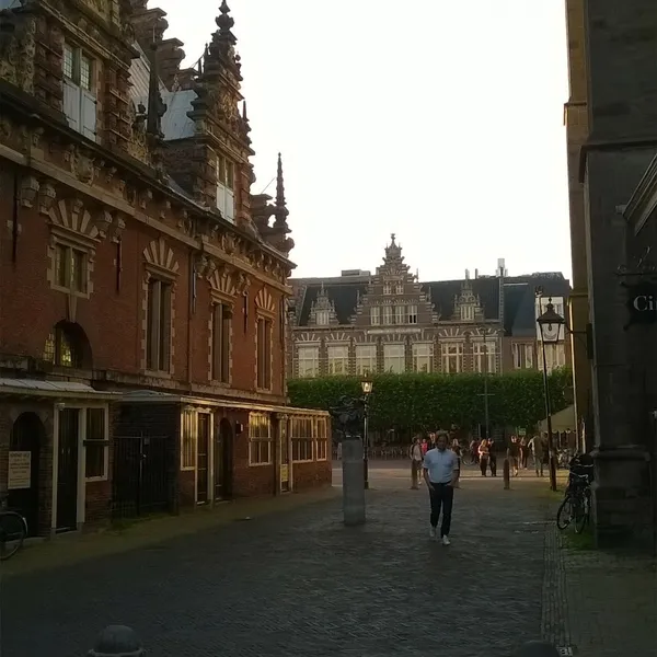 Image 7