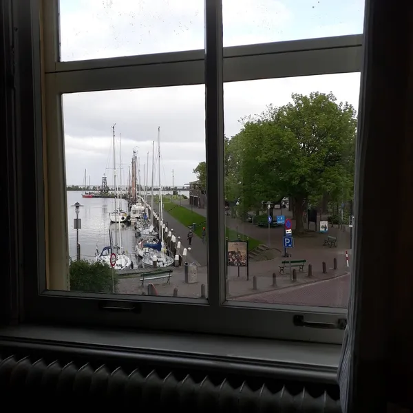 Image 7