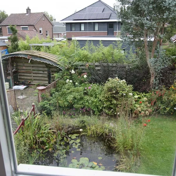 Image 10