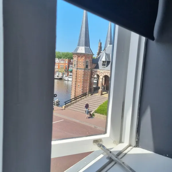 Image 7