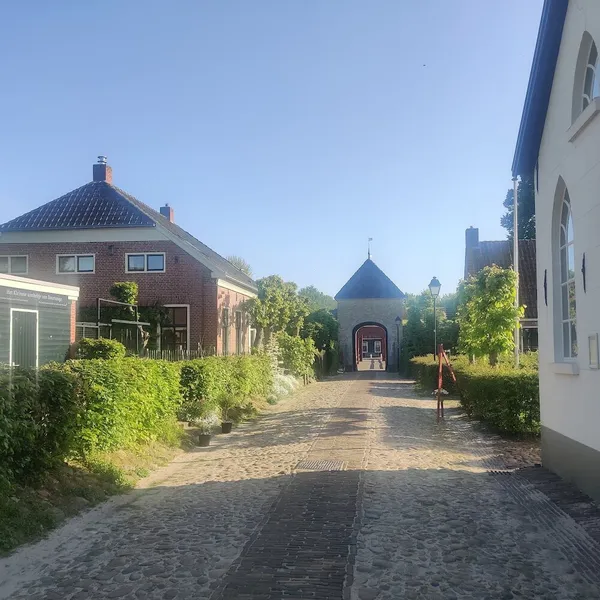 Image 5