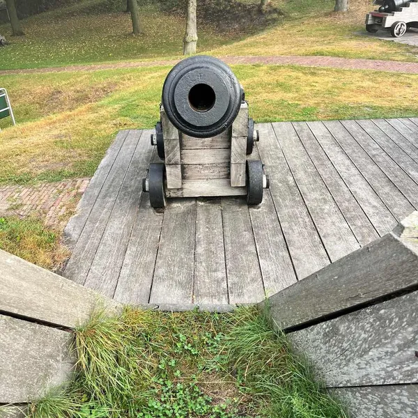 Image 8