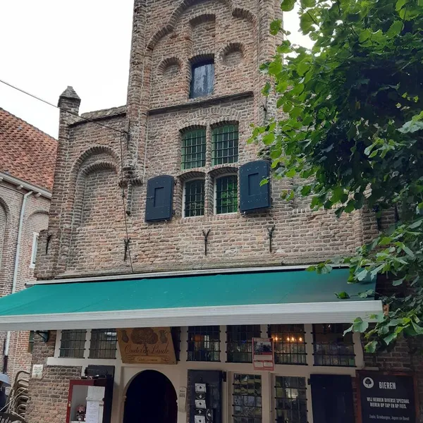Image 7