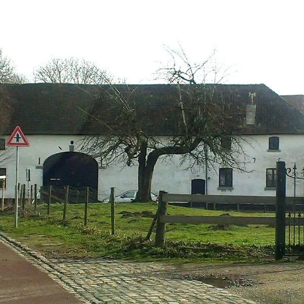 Image 9