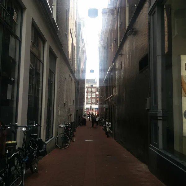Image 6