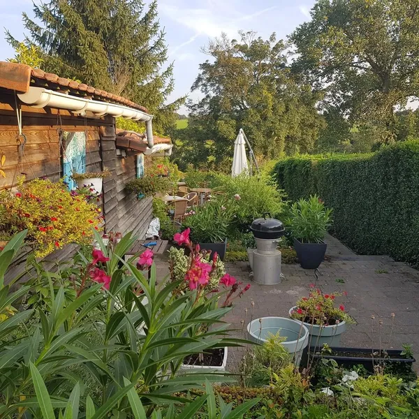 Image 31