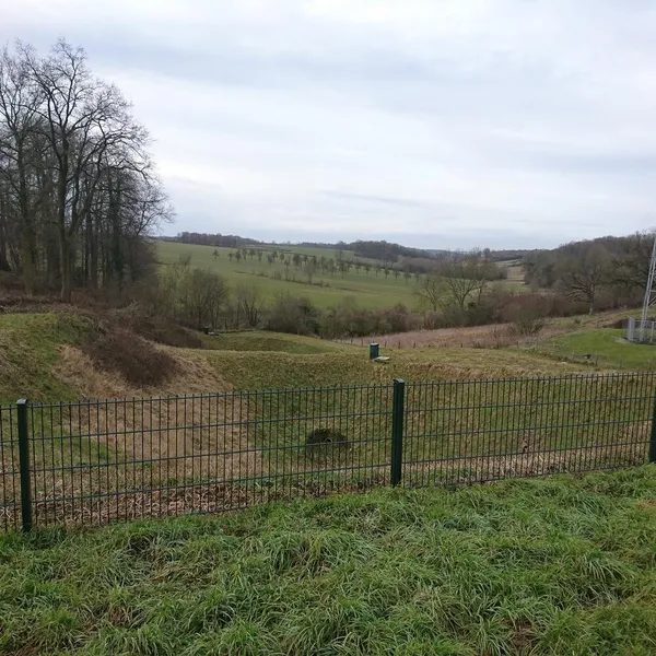 Image 9