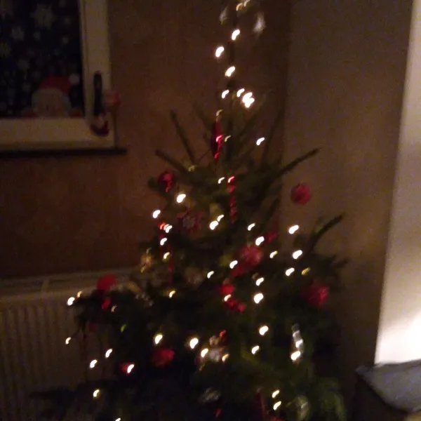Foto 10