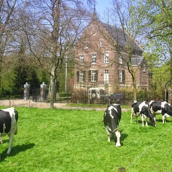 Image 9