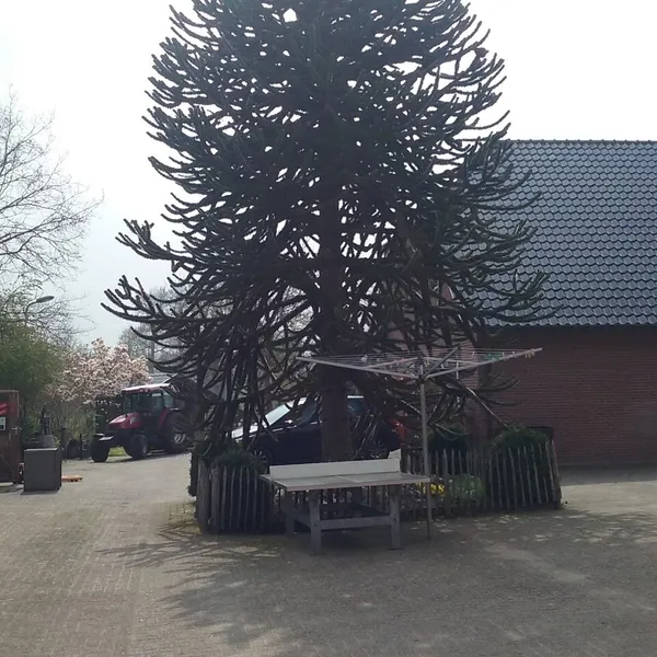 Foto 7