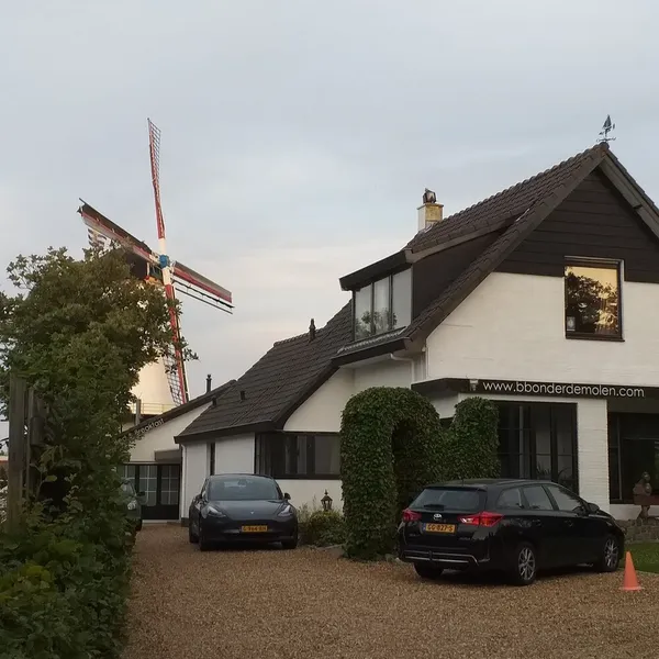 Image 5