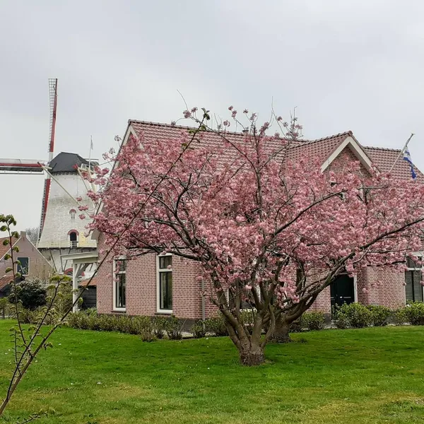 Image 8