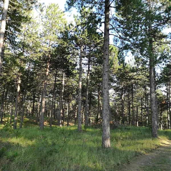 Image 10