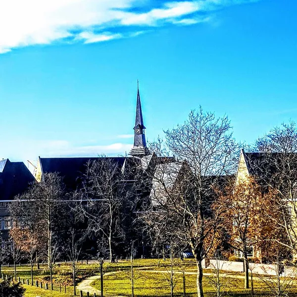 Image 9