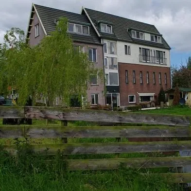 Image 9