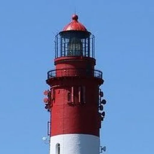 Image 10