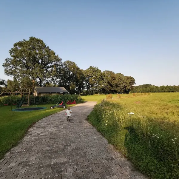 Image 6