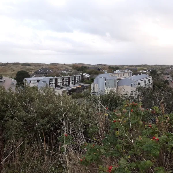 Image 6