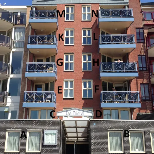 Image 10