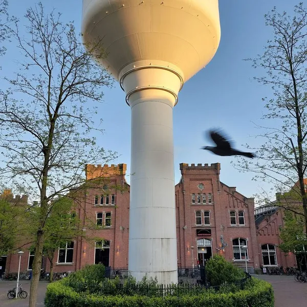 Image 2