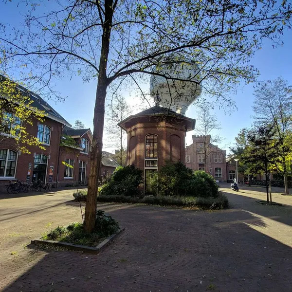 Image 7