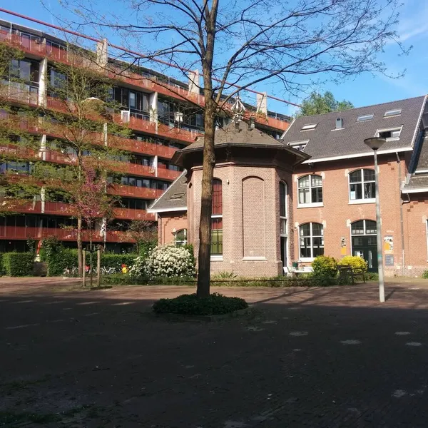 Image 10