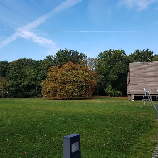 Image 9