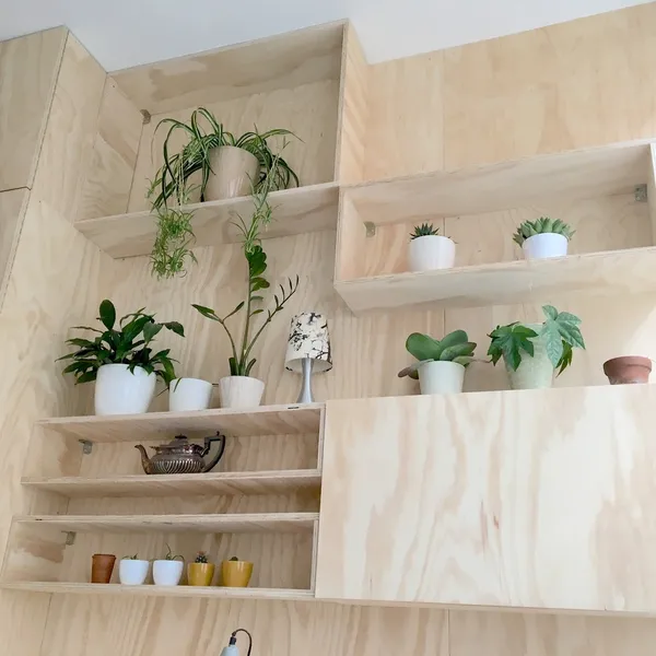 Foto 5