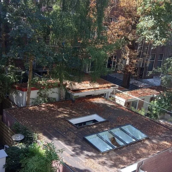 Image 8