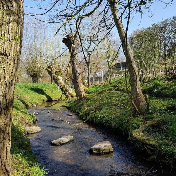 Foto 10