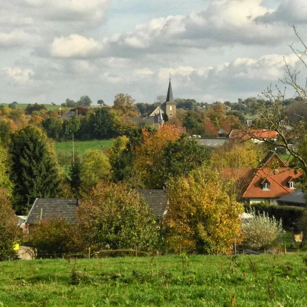 Image 8