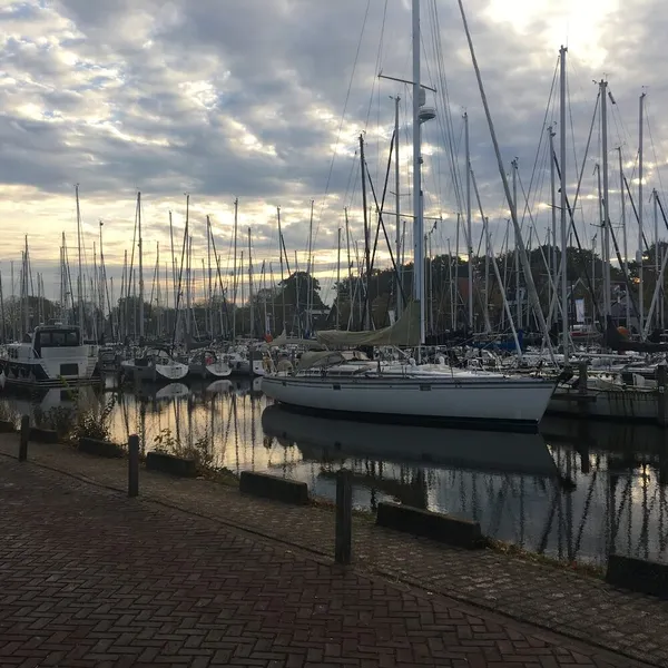 Foto 10