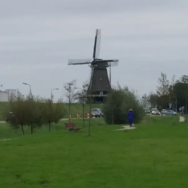 Image 9