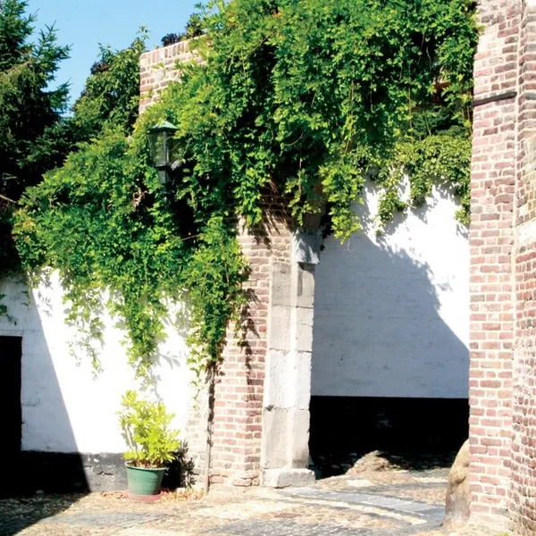 Image 10