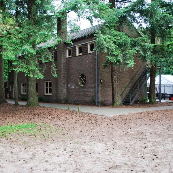 Image 6