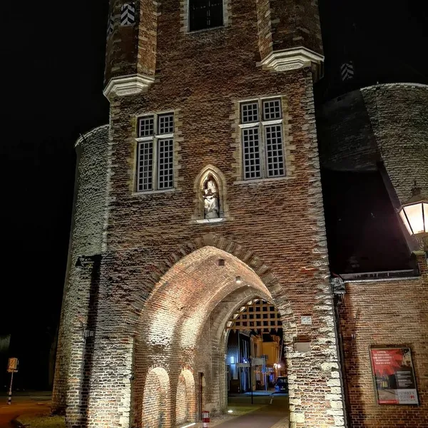 Image 4