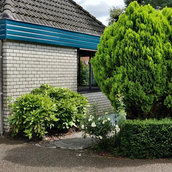 Image 8