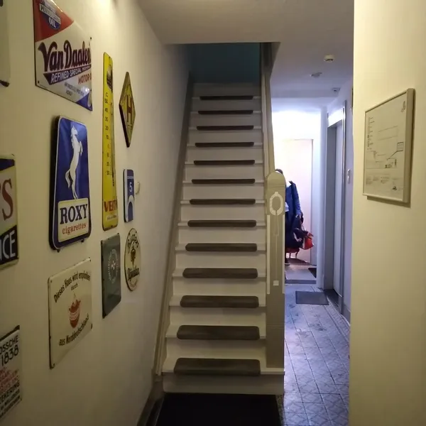 Image 5