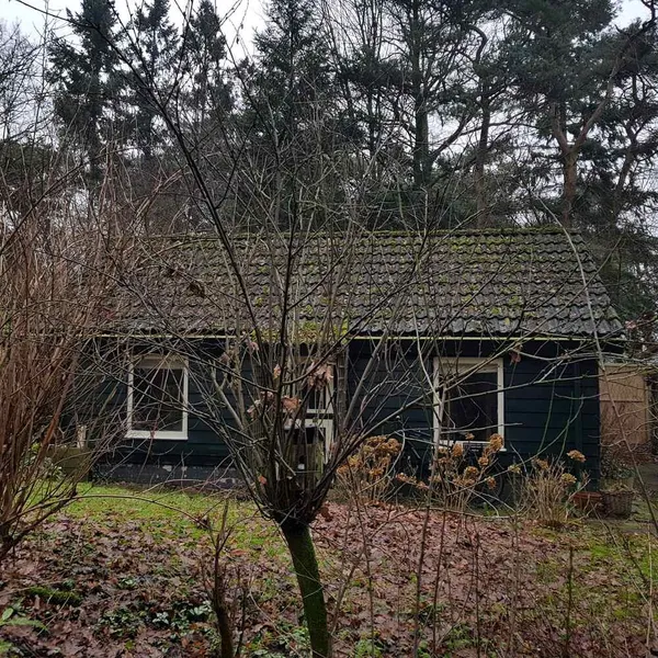 Image 9