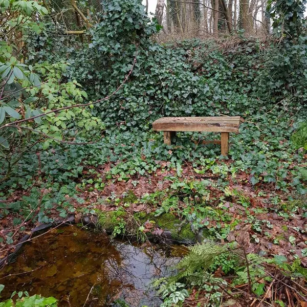 Image 10