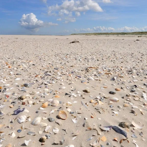 Smit Vakantiehuis Verhuur Terschelling