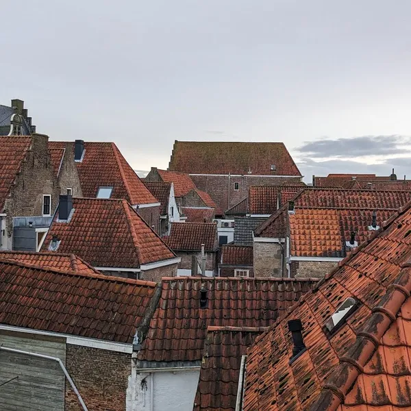 Image 8