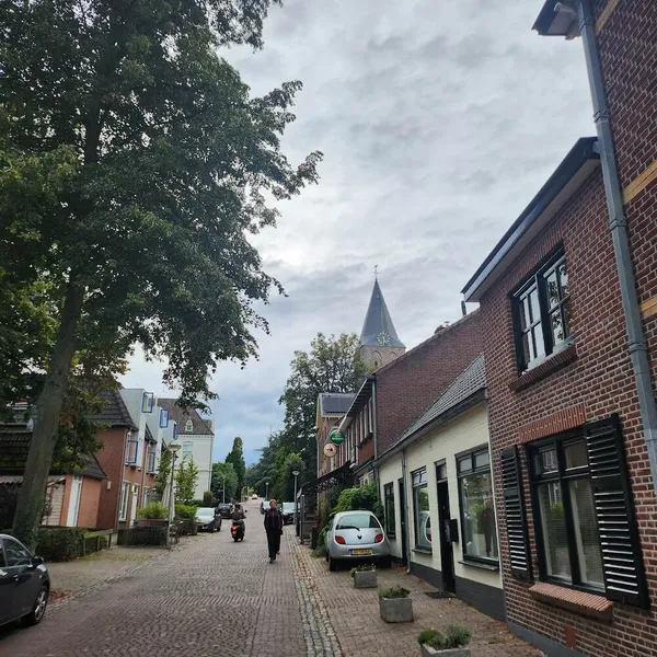 Image 8