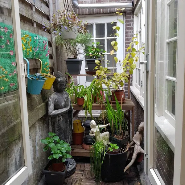 Foto 6