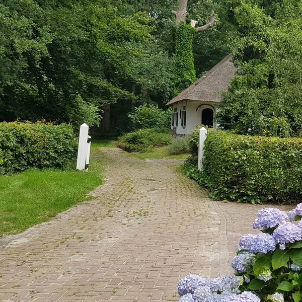 Image 6