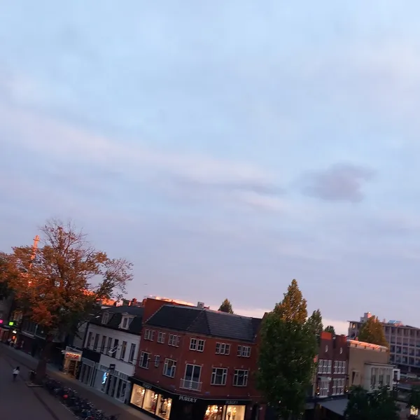 Image 9