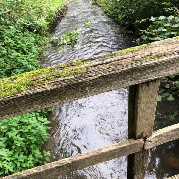 Image 9